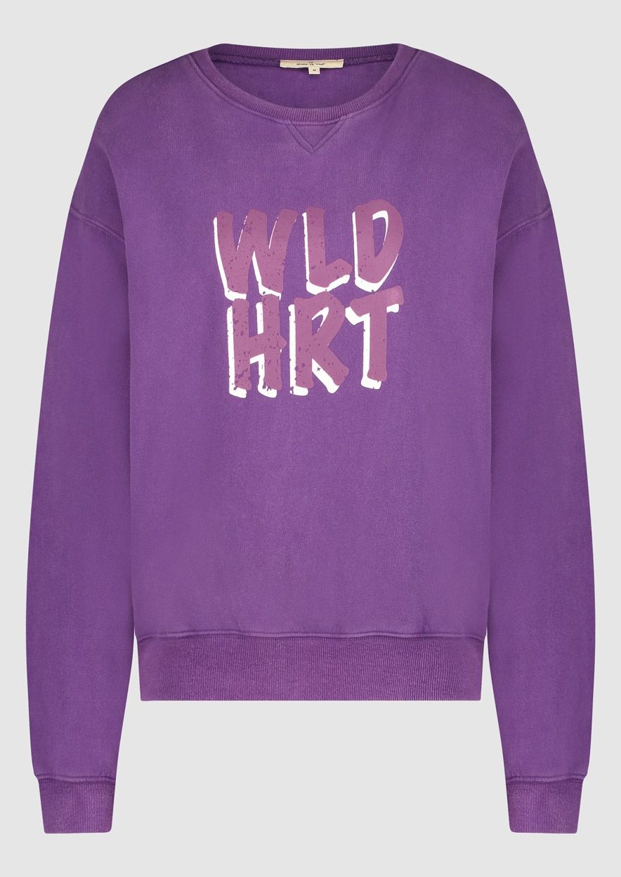 Paarse sweater dames 2025
